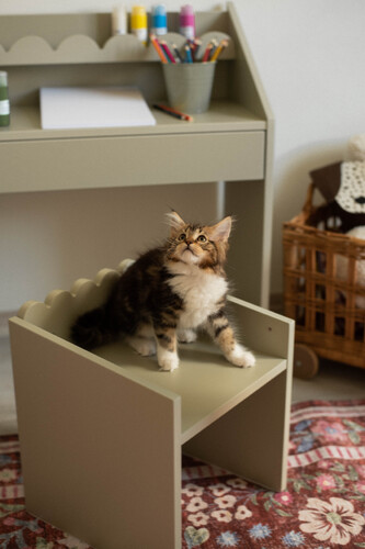 Book_nook_sage_chair_03.jpeg